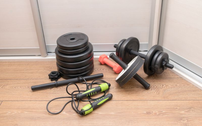 back exercise equipment
