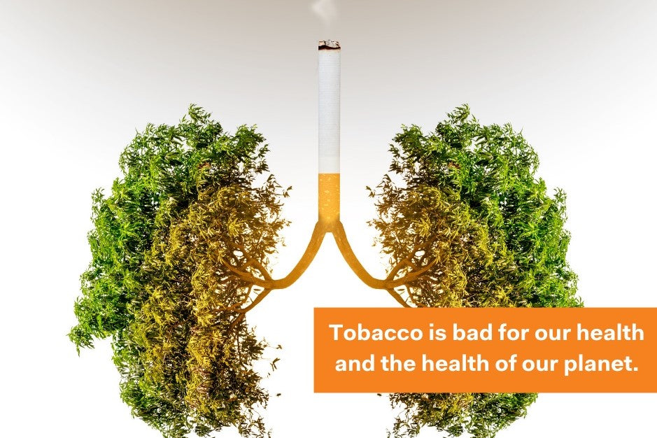 World No Tobacco Day: What you should know