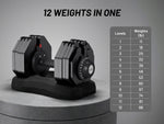 Ativafit Flare 88 Lb Adjustable Dumbbell Set