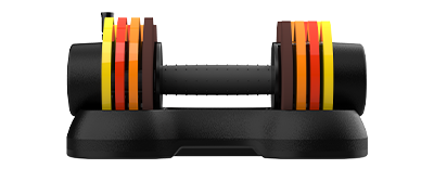 27.5LBS Dumbbell Set GT528