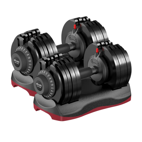 66 Lbs Adjustable Weight Dumbbell Set | DT1166