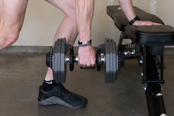 <high>A 12-in-1 Adjustable Dumbbell Set for Serious Home Gyms<high>