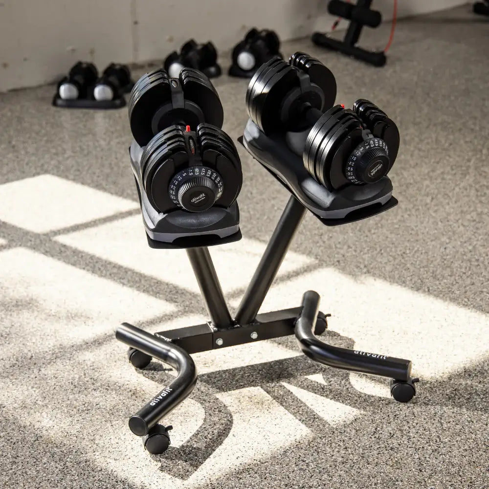 Ativafit Dumbbell storage rack with adjustable weight holders for home gym