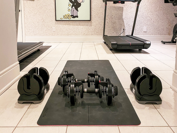 Ativafit 71.5lbs adjustable dumbbell