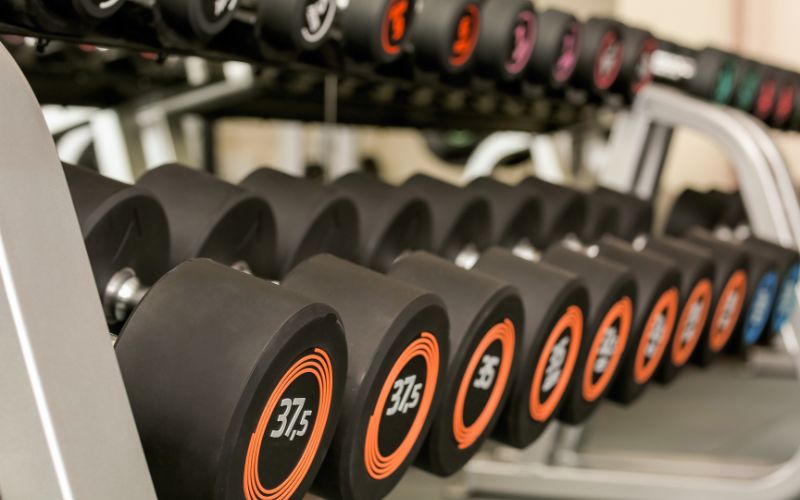 dumbbell stand