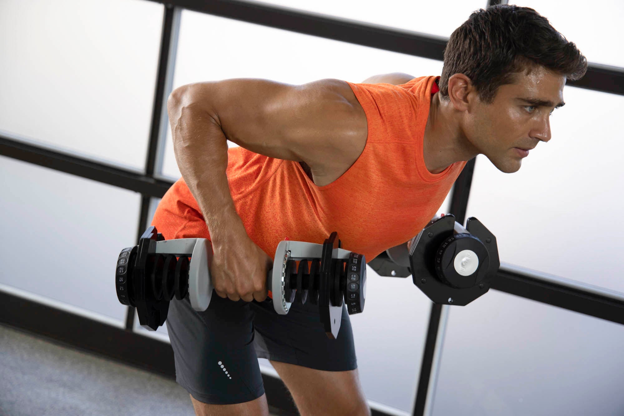 Pull day workouts with dumbbells