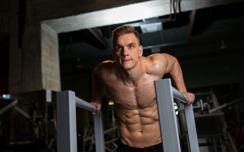 muscles do dips work