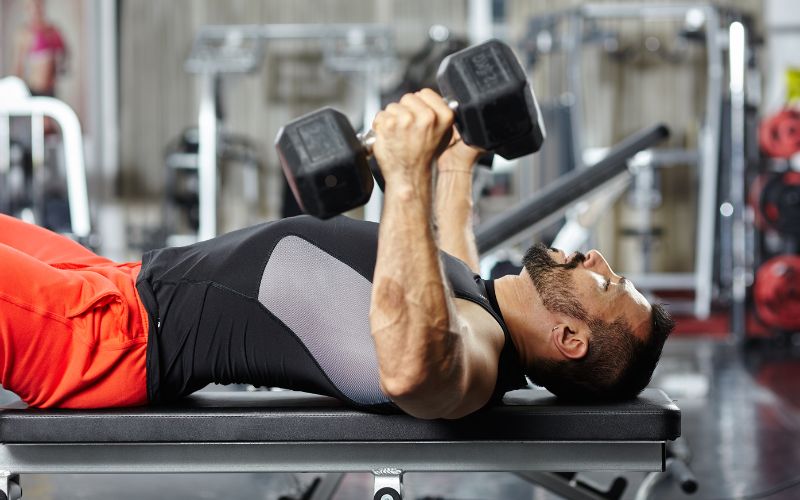 chest and triceps workouts