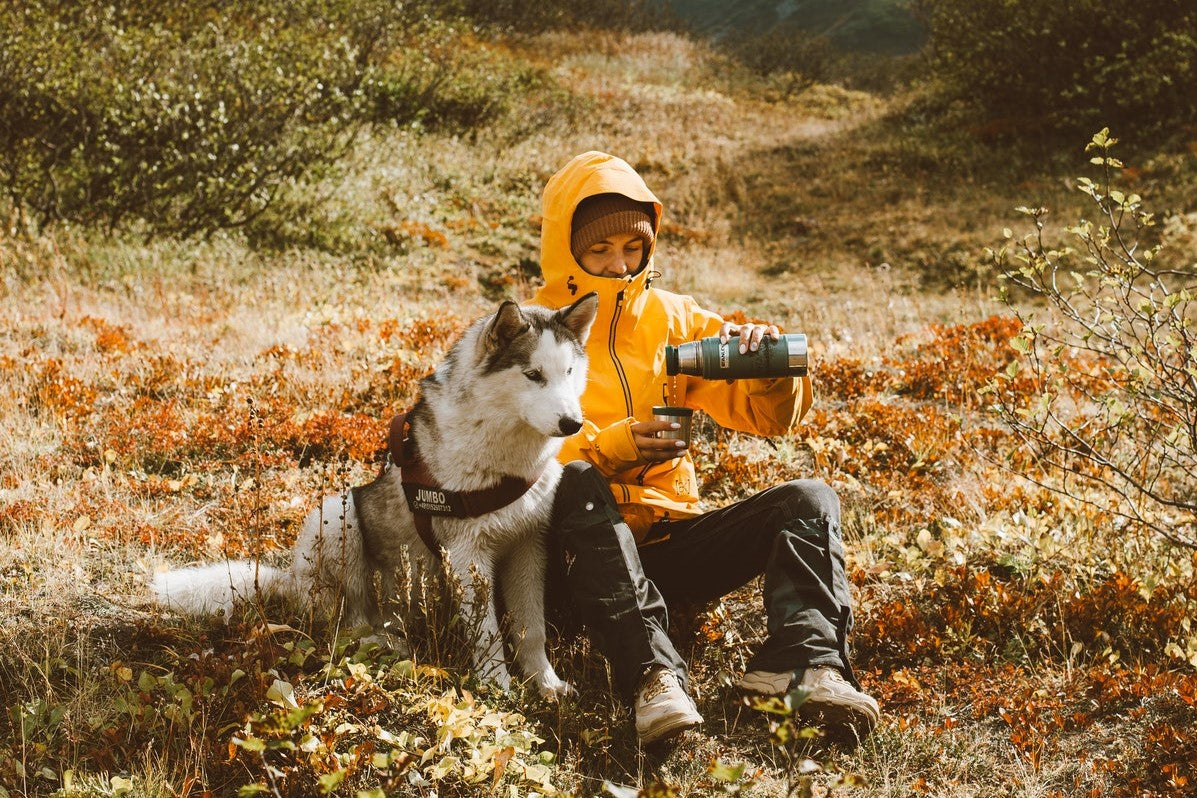 Exercise to do with your dog