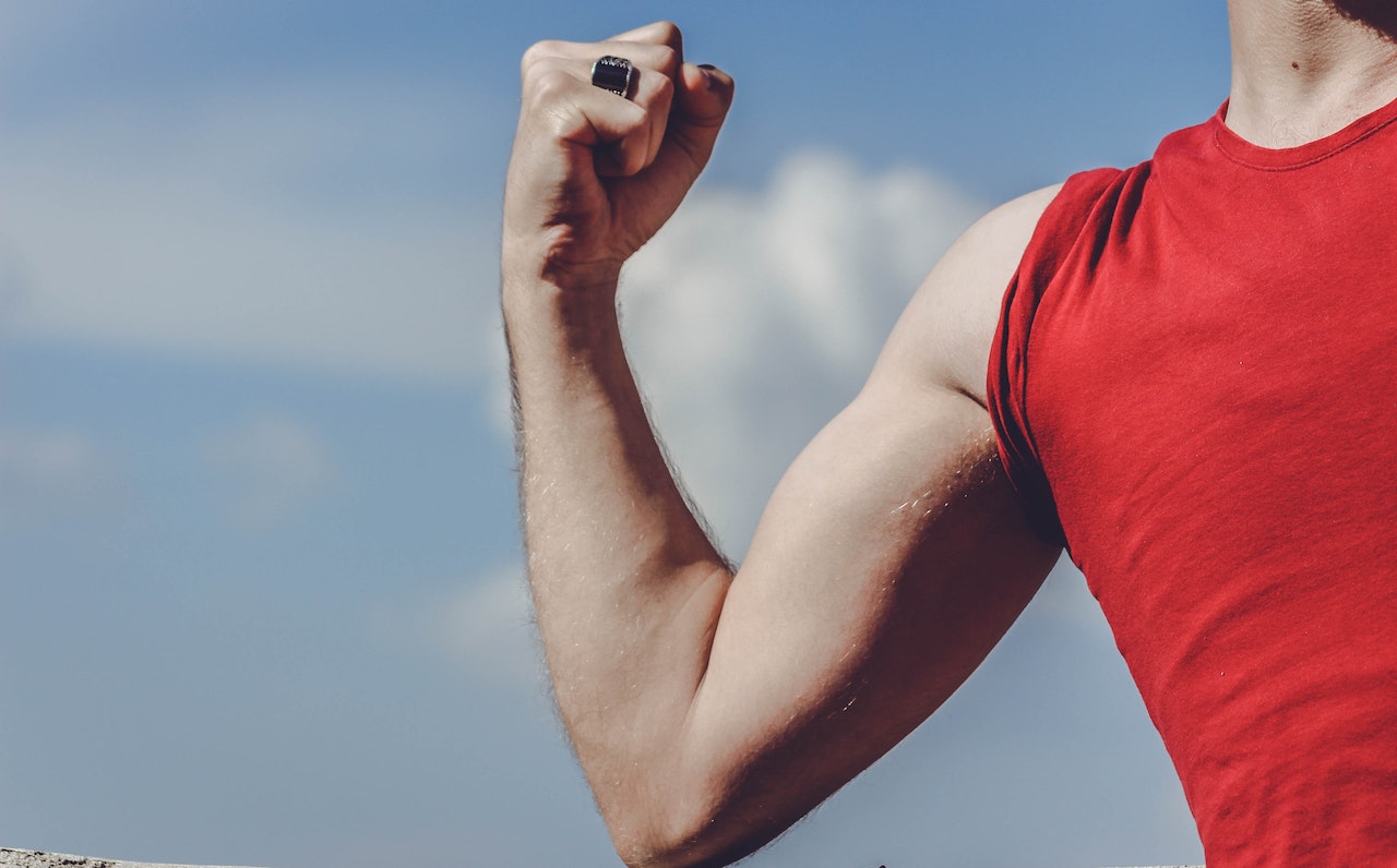 Dumbbell biceps workout performed at home