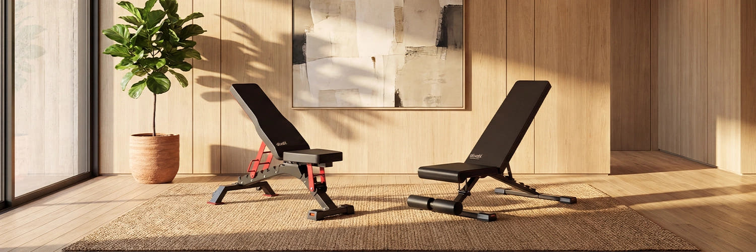 Two adjustable gym benches in a home setting with a plant and framed picture on the wall.