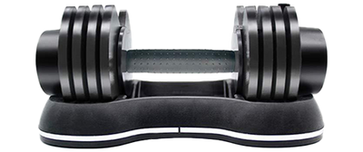 27.5LBS Dumbbell Set GT528