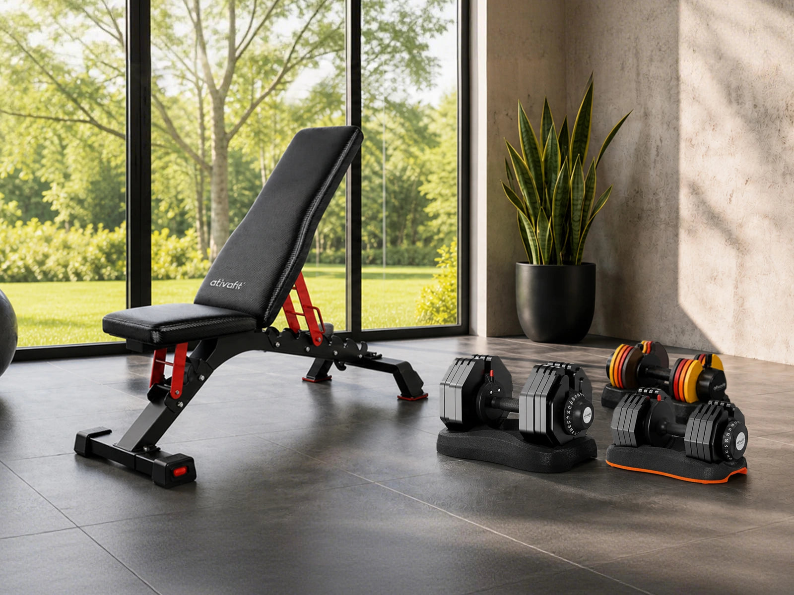 Gym bench and adjustable dumbbells in a home setting with large windows showing greenery.