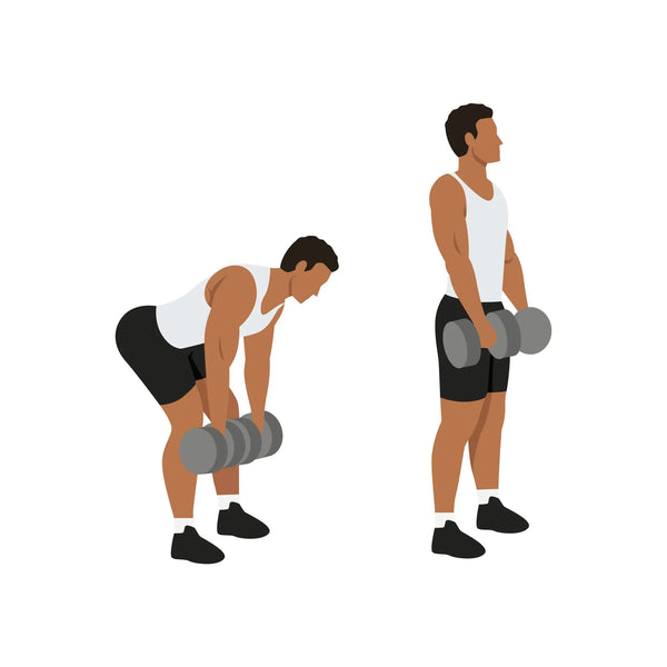 Bent over dumbbell row demonstration