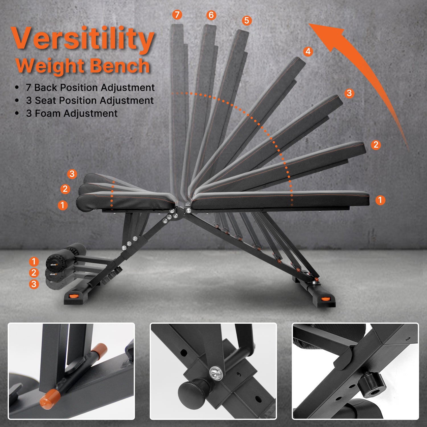 Adjustable Weight & Workout Bench