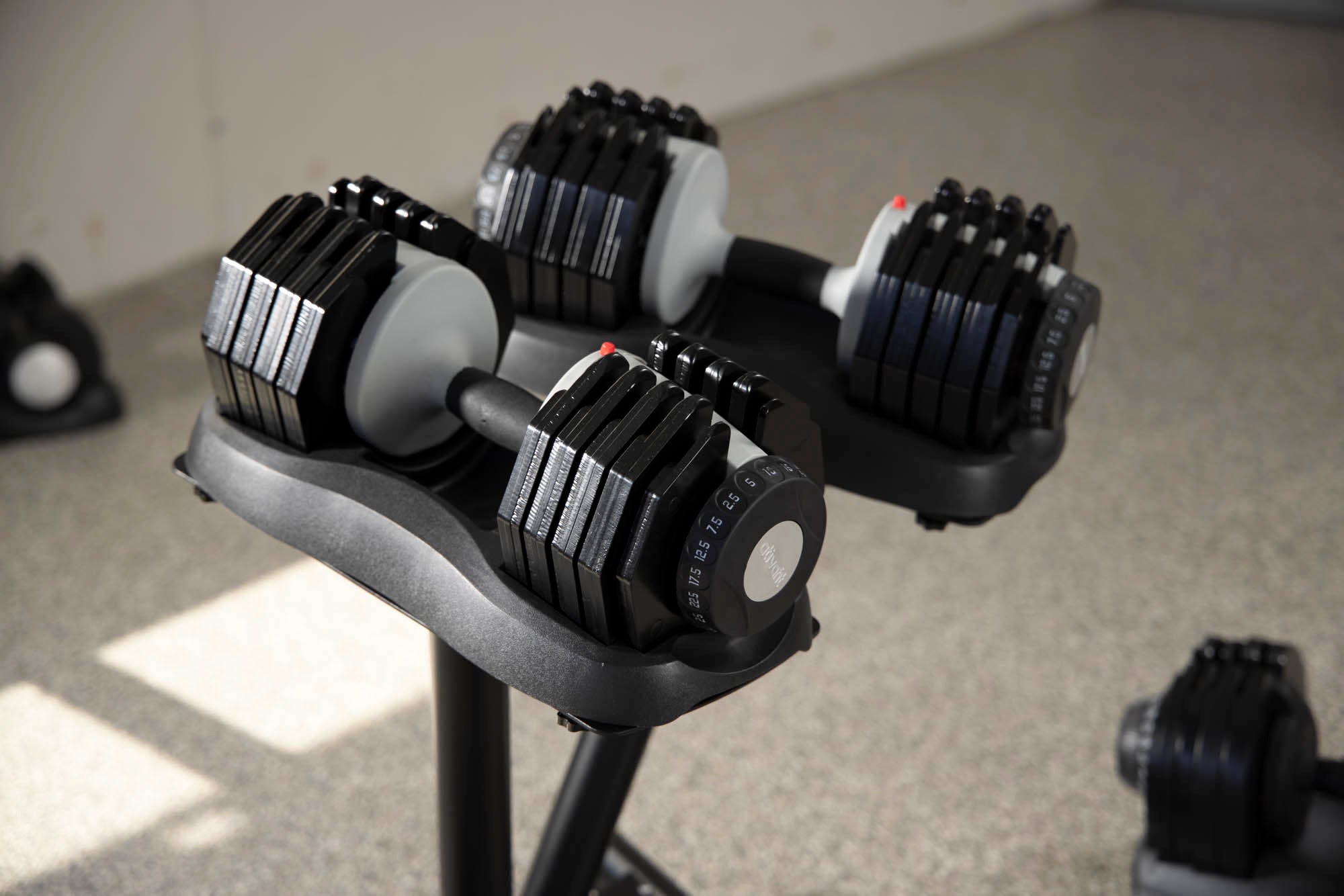 55 Lbs Adjustable Dumbbell Set (Pair)